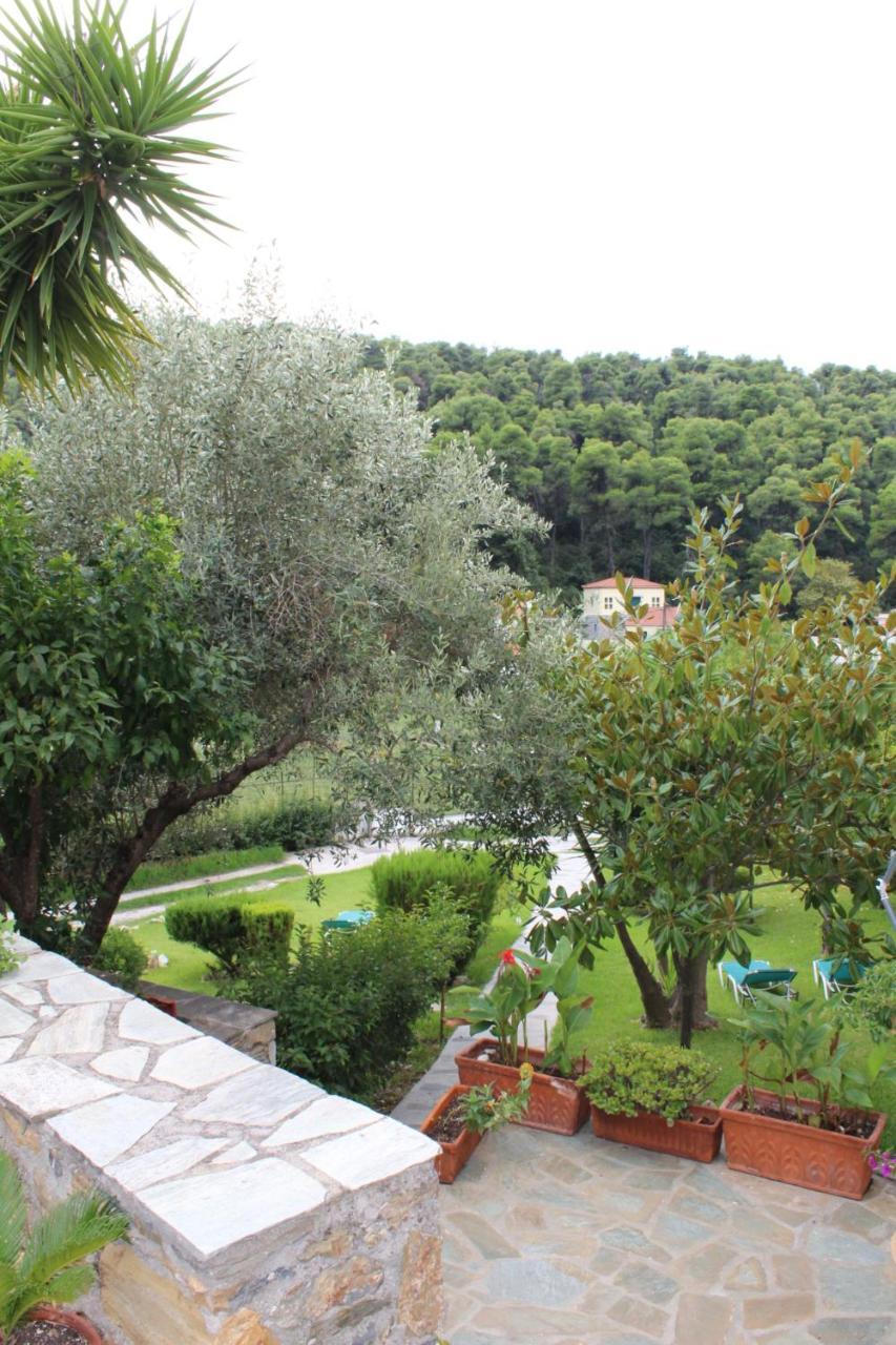 The Pine Trees Aparthotel Agnontas Buitenkant foto