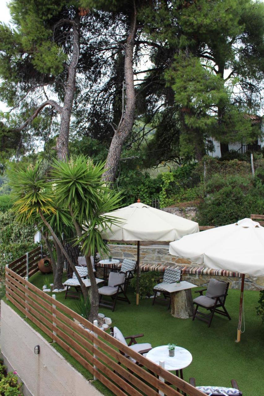 The Pine Trees Aparthotel Agnontas Buitenkant foto