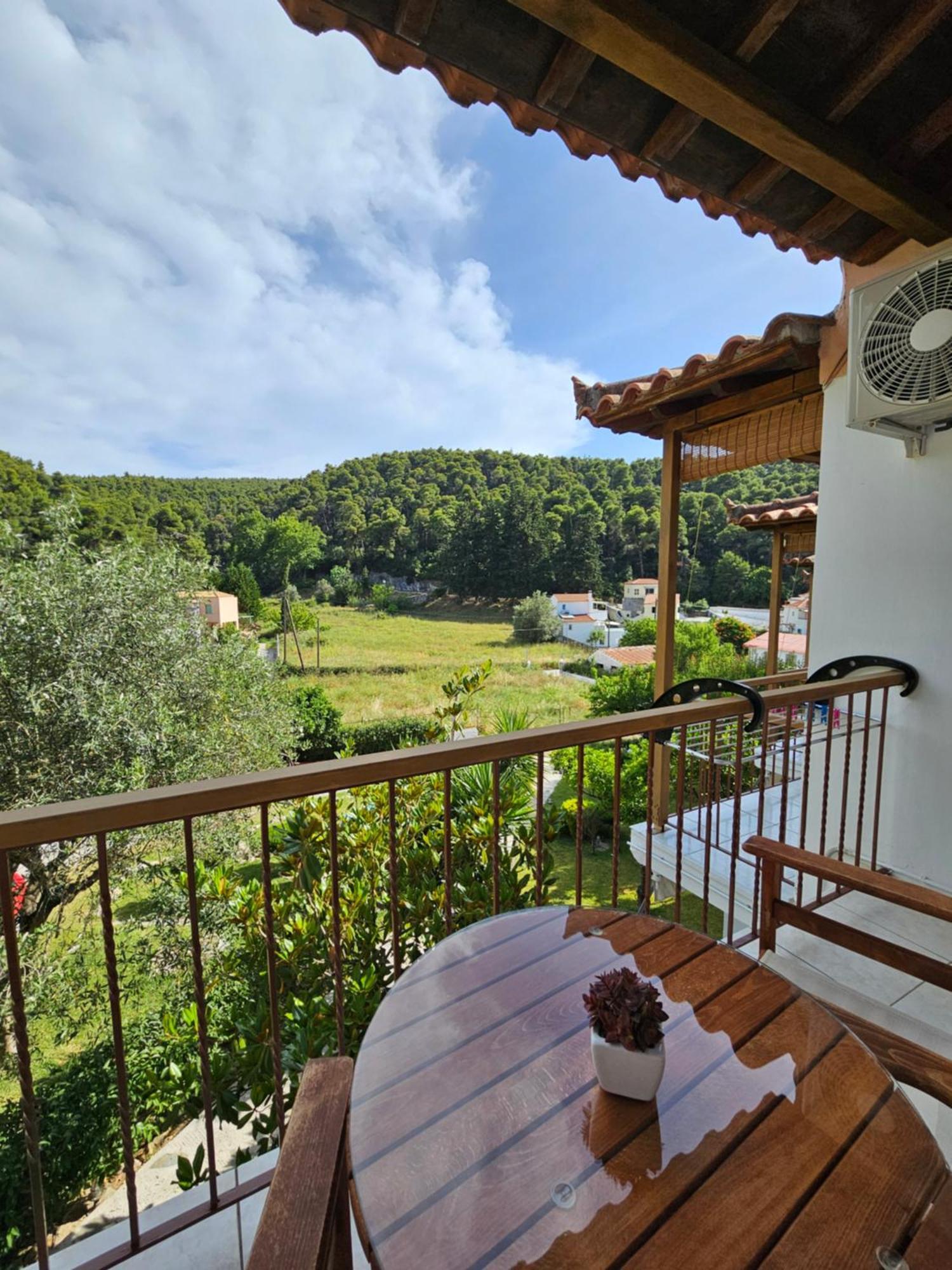 The Pine Trees Aparthotel Agnontas Buitenkant foto